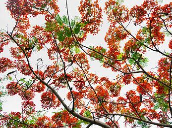 所有Steam用户有15%的时间用于玩2024年发布的游戏