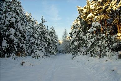 第一人称动作生存游戏《Forever Skies》steam抢先体验6月23日开启